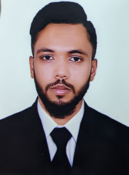 Mehedi Hasan Mridul